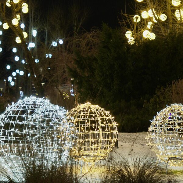 Ogmios miestas Vilnius