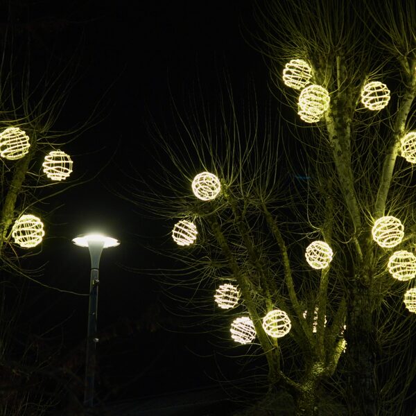 Ogmios miestas Vilnius